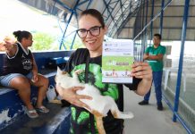 Política estadual de controle populacional alcança marca de 10 mil castrações de cães e gatos em menos de três meses