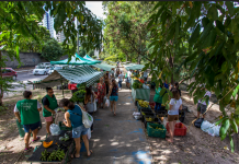 Feira Agroecológica de Setúbal recebe lançamento da Campanha Anual de Promoção do Produto Orgânico 2026