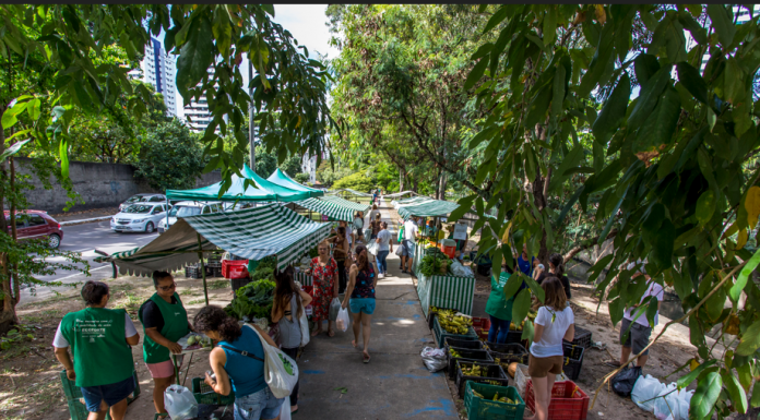 Feira Agroecológica de Setúbal recebe lançamento da Campanha Anual de Promoção do Produto Orgânico 2026