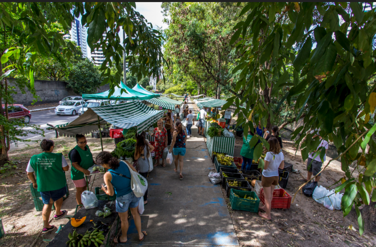 Feira Agroecológica de Setúbal recebe lançamento da Campanha Anual de Promoção do Produto Orgânico 2026