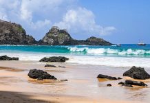 Revista Terroir Nordeste lança segunda edição, com homenagem à essência e preservação de Fernando de Noronha