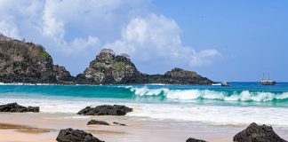 Revista Terroir Nordeste lança segunda edição, com homenagem à essência e preservação de Fernando de Noronha