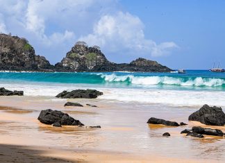 Revista Terroir Nordeste lança segunda edição, com homenagem à essência e preservação de Fernando de Noronha