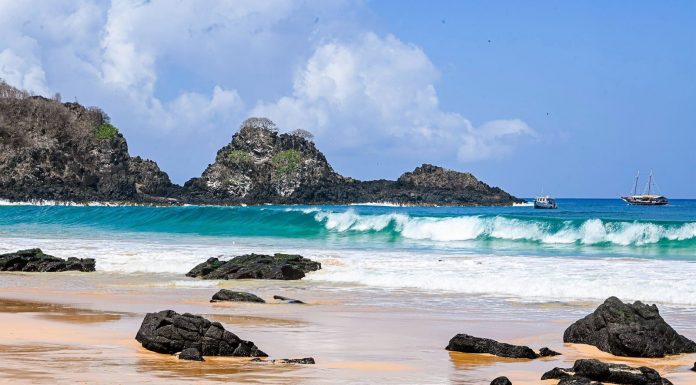 Revista Terroir Nordeste lança segunda edição, com homenagem à essência e preservação de Fernando de Noronha