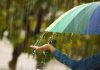 Chuva, vírus e imunidade: o que colocar no prato para evitar gripes e infecções