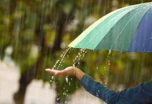 Chuva, vírus e imunidade: o que colocar no prato para evitar gripes e infecções