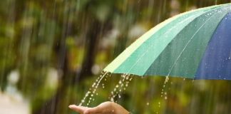 Chuva, vírus e imunidade: o que colocar no prato para evitar gripes e infecções