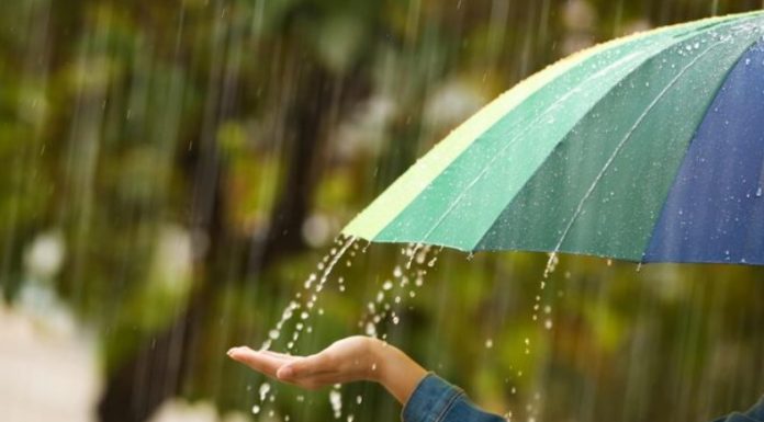 Chuva, vírus e imunidade: o que colocar no prato para evitar gripes e infecções