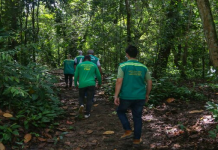 Olinda promove Semana Municipal do Meio Ambiente com ações de educação ambiental, sustentabilidade e conscientização