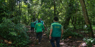 Olinda promove Semana Municipal do Meio Ambiente com ações de educação ambiental, sustentabilidade e conscientização