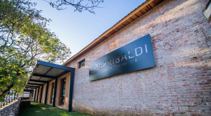 Cooperativa Vinícola Garibaldi celebra 95 anos com manifesto institucional