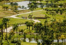 Com brinquedos-esculturas interativos e experiências multissensoriais, Usina de Arte inaugura novo espaço de vivências na Mata Sul de Pernambuco