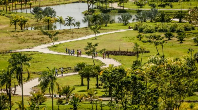 Com brinquedos-esculturas interativos e experiências multissensoriais, Usina de Arte inaugura novo espaço de vivências na Mata Sul de Pernambuco