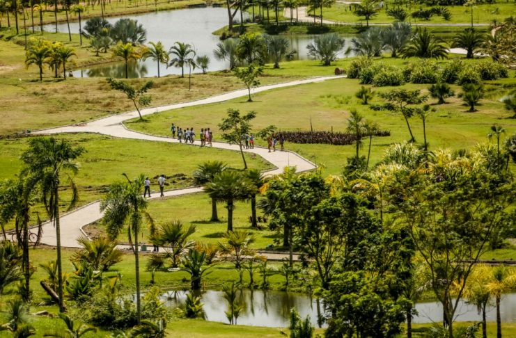 Com brinquedos-esculturas interativos e experiências multissensoriais, Usina de Arte inaugura novo espaço de vivências na Mata Sul de Pernambuco