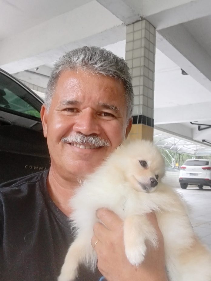 fogos-perigo-para-pets-170626