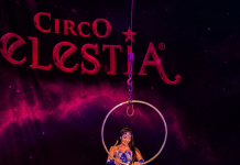 Circo Celestia entrega 12 toneladas de alimentos arrecadados ao Hospital de Câncer de Pernambuco