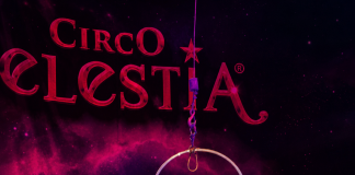 Circo Celestia entrega 12 toneladas de alimentos arrecadados ao Hospital de Câncer de Pernambuco