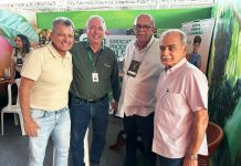 Começa em Petrolina 8ª edição da Expo Manga Brasil