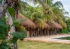 Pachamama promove lançamento oficial em Japaratinga e atrai investidores do Brasil e do exterior