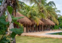 Pachamama promove lançamento oficial em Japaratinga e atrai investidores do Brasil e do exterior