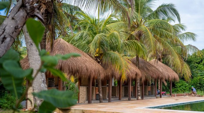 Pachamama promove lançamento oficial em Japaratinga e atrai investidores do Brasil e do exterior