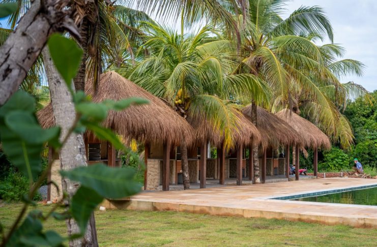 Pachamama promove lançamento oficial em Japaratinga e atrai investidores do Brasil e do exterior