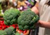 Brócolis vai muito além do prato: vegetal ajuda a fortalecer a imunidade e pode até beneficiar a pele