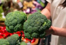 Brócolis vai muito além do prato: vegetal ajuda a fortalecer a imunidade e pode até beneficiar a pele