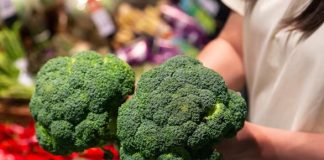 Brócolis vai muito além do prato: vegetal ajuda a fortalecer a imunidade e pode até beneficiar a pele