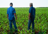 Carpina une agricultores, órgãos ambientais e crianças no Dia Nacional do Campo Limpo