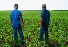 Carpina une agricultores, órgãos ambientais e crianças no Dia Nacional do Campo Limpo