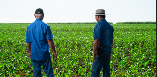 Carpina une agricultores, órgãos ambientais e crianças no Dia Nacional do Campo Limpo