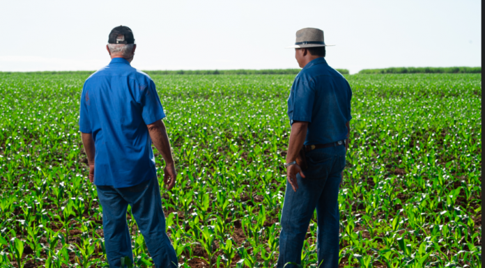 Carpina une agricultores, órgãos ambientais e crianças no Dia Nacional do Campo Limpo