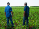 Carpina une agricultores, órgãos ambientais e crianças no Dia Nacional do Campo Limpo