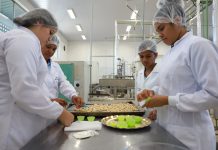 SENAI-PE abre 305 vagas gratuitas em cursos técnicos em quatro cidades