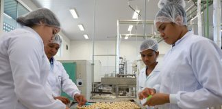 SENAI-PE abre 305 vagas gratuitas em cursos técnicos em quatro cidades