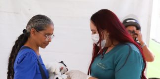 Governo de Pernambuco promove mutirão de castração de cães e gatos com programação em Camaragibe e São Lourenço da Mata