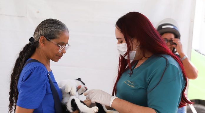 Governo de Pernambuco promove mutirão de castração de cães e gatos com programação em Camaragibe e São Lourenço da Mata
