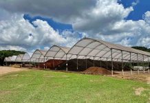 Cooperativa Vinícola Garibaldi amplia práticas de economia circular em seus processos