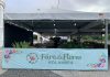 Feira de Flores Holambra chega a Petrolina, com mais de 200 espécies e plantas a partir de R$ 5