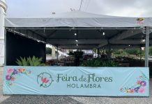 Feira de Flores Holambra chega a Petrolina, com mais de 200 espécies e plantas a partir de R$ 5