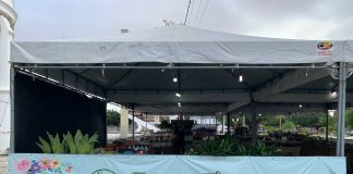 Feira de Flores Holambra chega a Petrolina, com mais de 200 espécies e plantas a partir de R$ 5