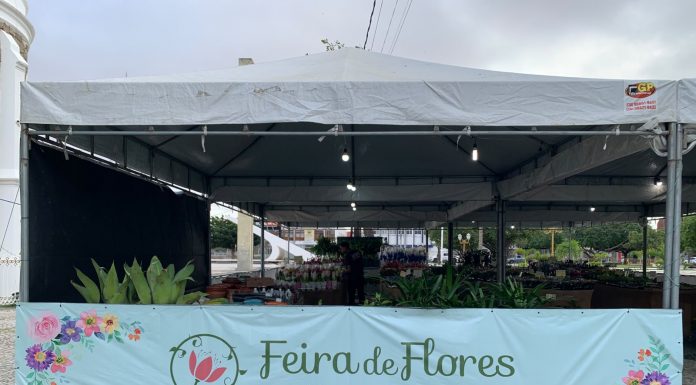 Feira de Flores Holambra chega a Petrolina, com mais de 200 espécies e plantas a partir de R$ 5