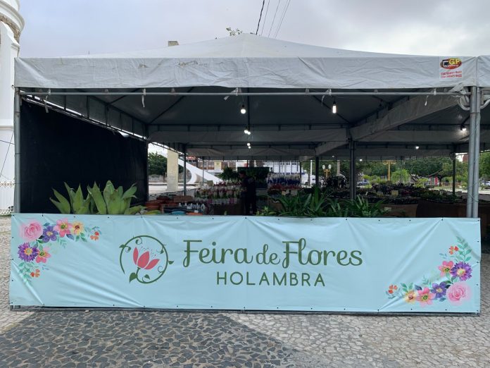 feira-de-flores-holambra-petrolina-050826