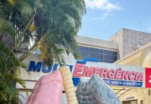 Agosto Branco: pulmão gigante chama atenção no Recife para diagnóstico precoce do câncer
