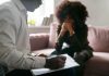 Violência psicológica contra a mulher, pode afetar memória, sono e percepção da dor, alerta especialista