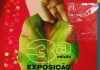 Com foco em arte sustentável, 3ª Exposição de Setembro reúne artistas visuais e artesãos do Agreste