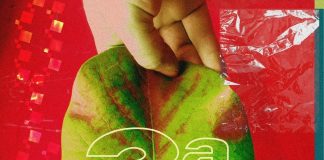 Com foco em arte sustentável, 3ª Exposição de Setembro reúne artistas visuais e artesãos do Agreste