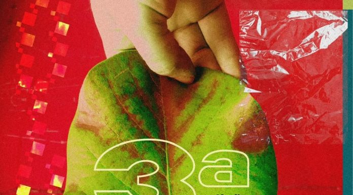 Com foco em arte sustentável, 3ª Exposição de Setembro reúne artistas visuais e artesãos do Agreste