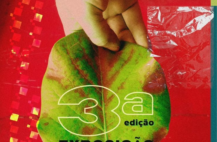 Com foco em arte sustentável, 3ª Exposição de Setembro reúne artistas visuais e artesãos do Agreste